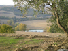 Laghetto Casale Becetole
