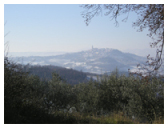 Todi con Neve Todi con Neve